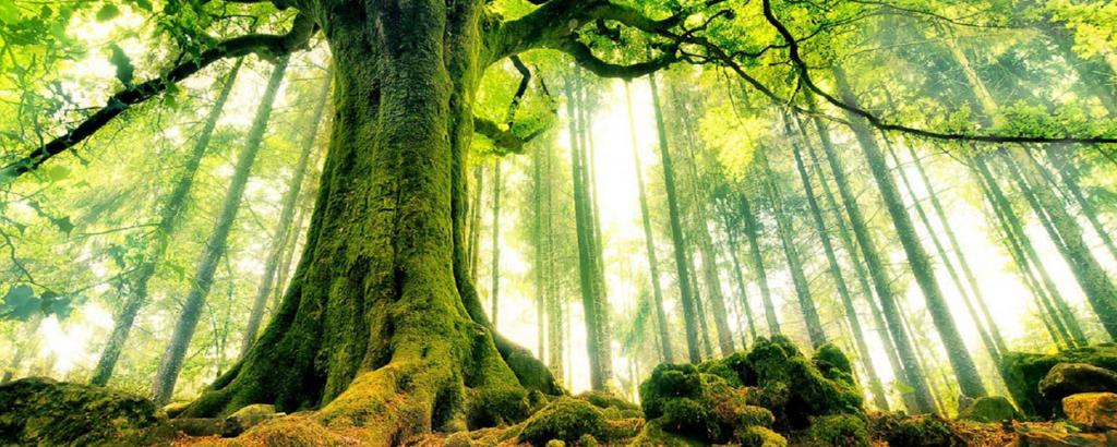 Bildiğinle Yetinme, Bir Yerde Çakılı Kalma