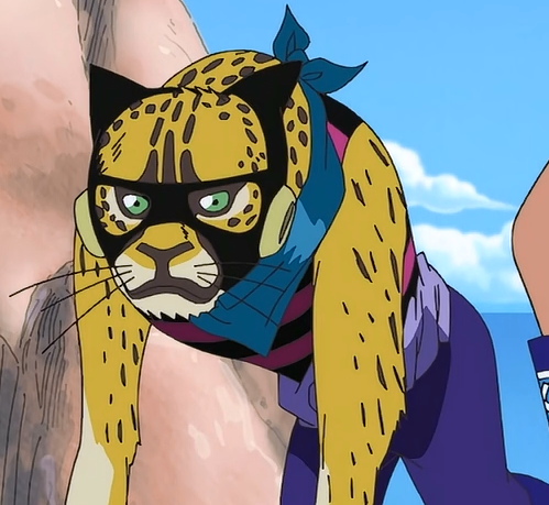 Neko Neko No Mi - Model Çita