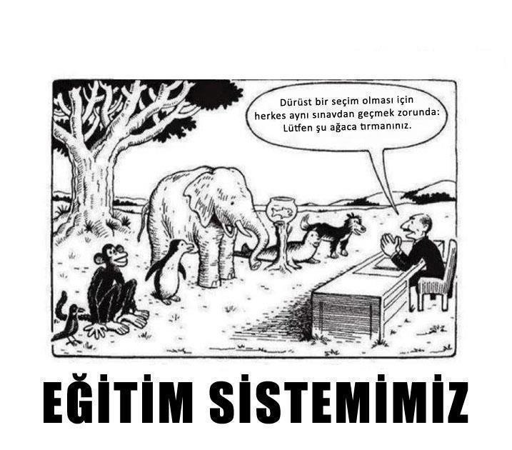 türkiye'deki eğitim sistemi ekşi