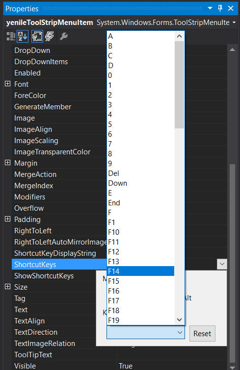 c# kısayol tuşu atama