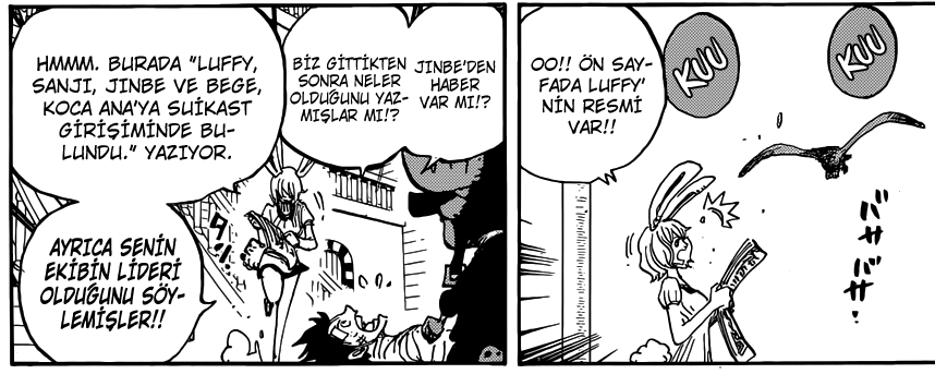 One Piece Manga 903. Bölüm
