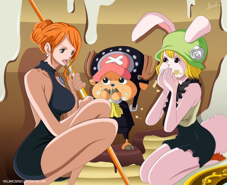 one piece nami chopper carrot