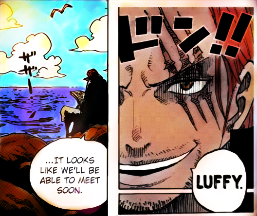 one piece 903 shanks