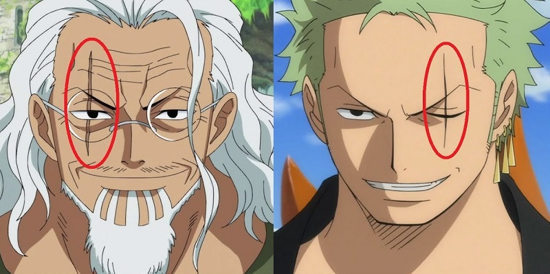 zoro and rayleig scar eye