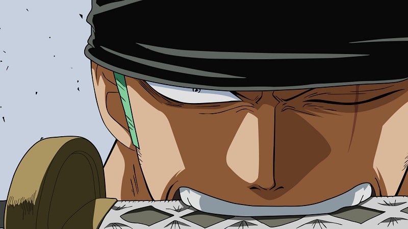 zoro timeskip