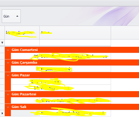C# DevExpress GridView Grup Başlık Renklendirme