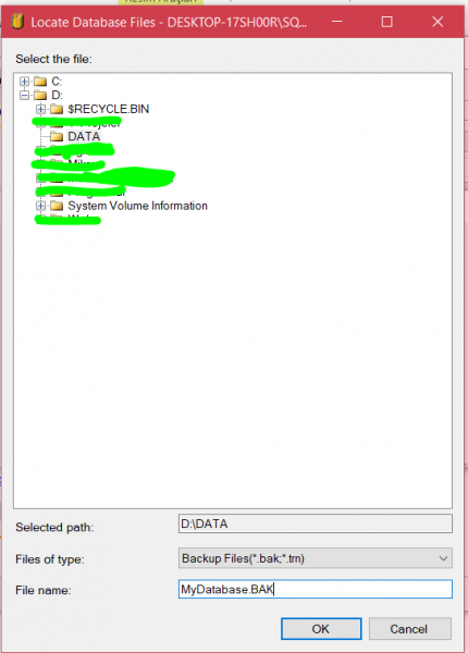 sql server backup database 4