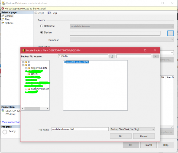 sql server restore database 2