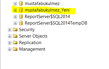 sql server restore database 5