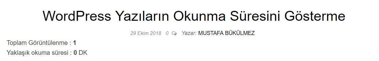 wordpress yazıların okunma sayısı