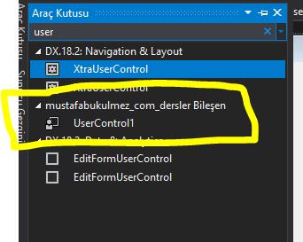 C# User Control Kullanımı 3