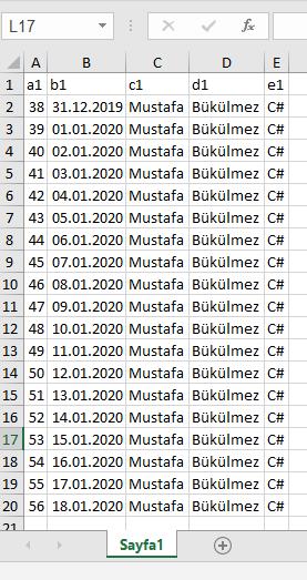 C# Çoklu Excel Dosyası Okuma