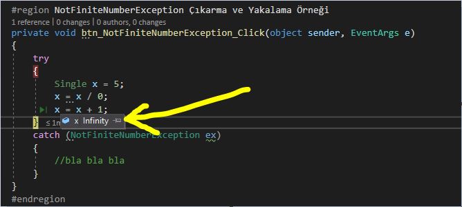 C# NotFiniteNumberException Nedenleri