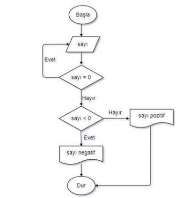 akis Diyagrami örnekleri