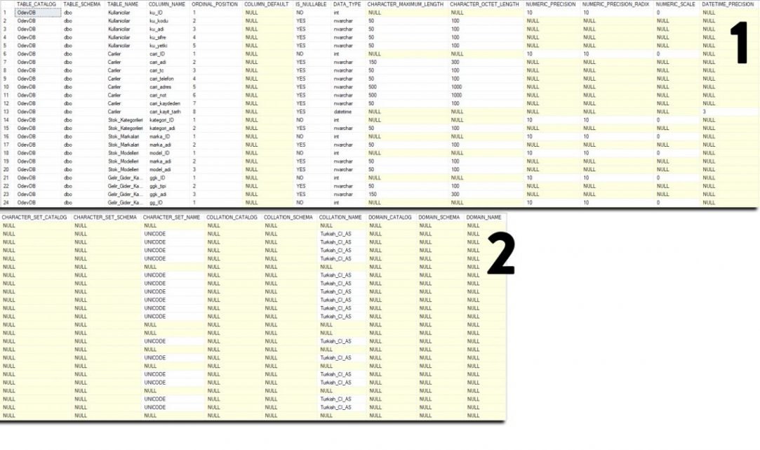 SQL Server INFORMATION_SCHEMA COLUMNS