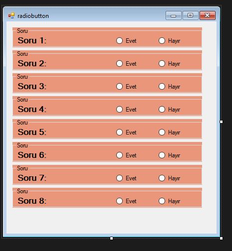 C# RadioButton ile GroupBox Ve Panel 2
