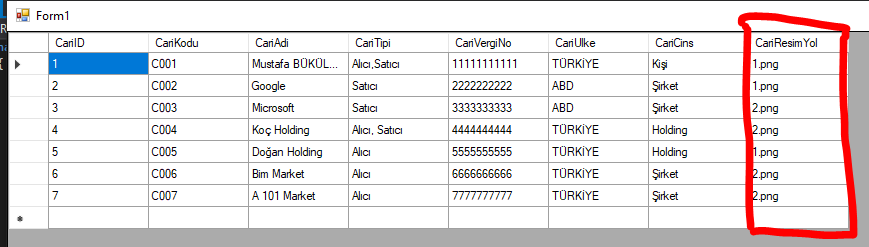 C# DataGridView Resim Gösterme