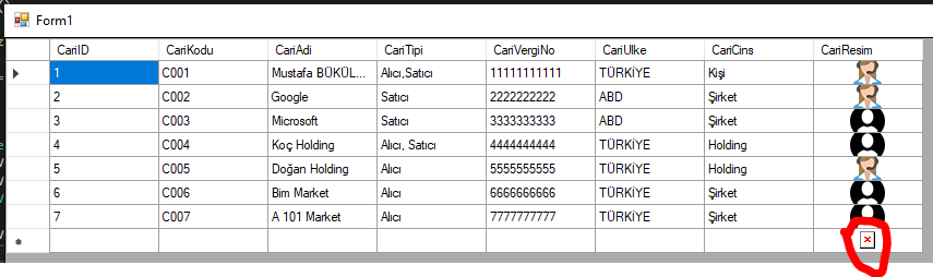 C# DataGridView Resim Gösterme 2