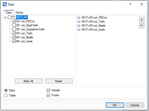 Stimulsoft Report Rapor Tasarımı