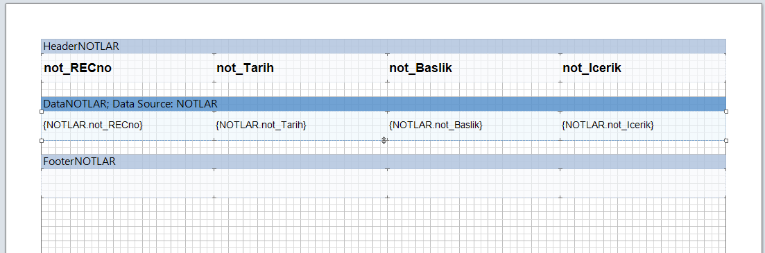 Stimulsoft Report Veri Çekmek ve Tasarım Yapmak 3