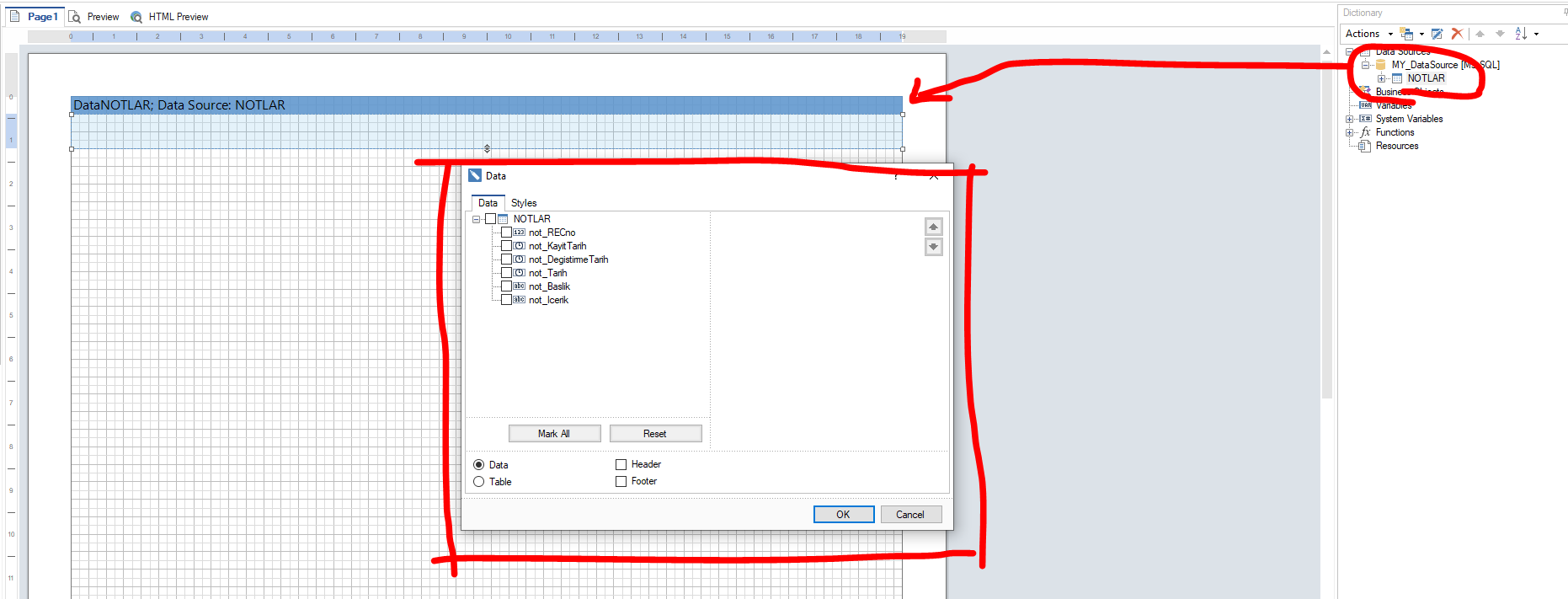 Stimulsoft Report Rapor Tasarımı