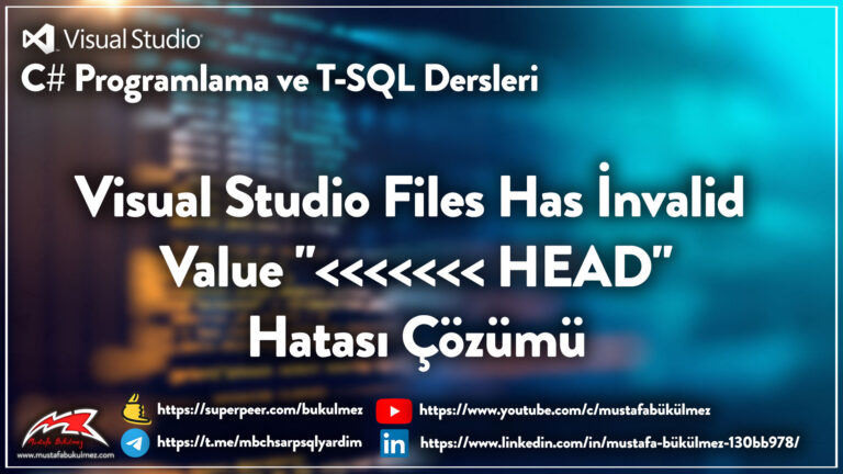 Visual Studio Files Has İnvalid Value HEAD