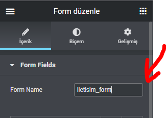 Elementor Form Datalarını Başka DB’ye Kaydetmek