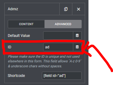 Elementor Form Datalarını Başka DB’ye Kaydetmek 3