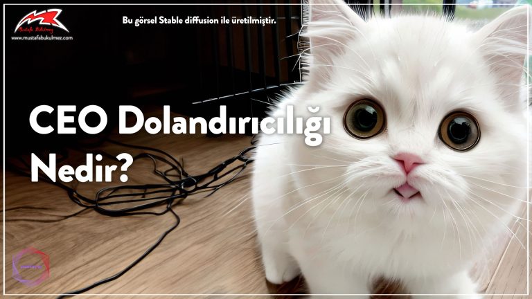 CEO-Dolandırıcılığı-nedie