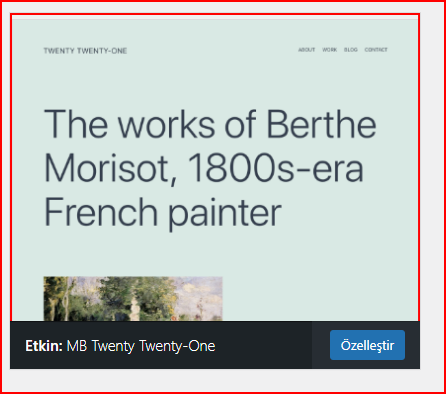 Wordpress Child Theme Nedir Nasıl Yapılır 2