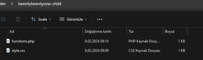 wordpress child theme